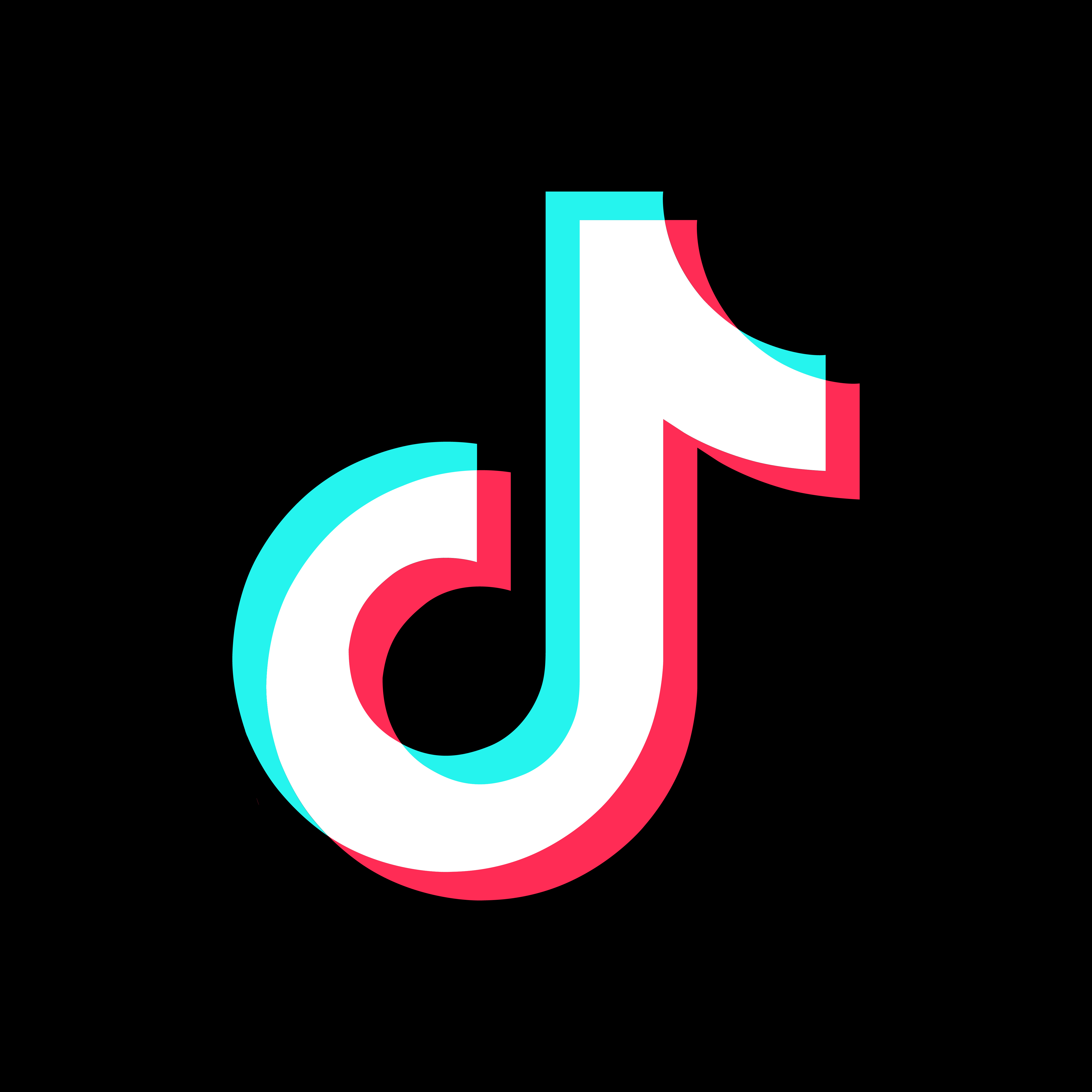 #V20V: How This Tiktok Trend Became A Cultural Moment - vbih3hd